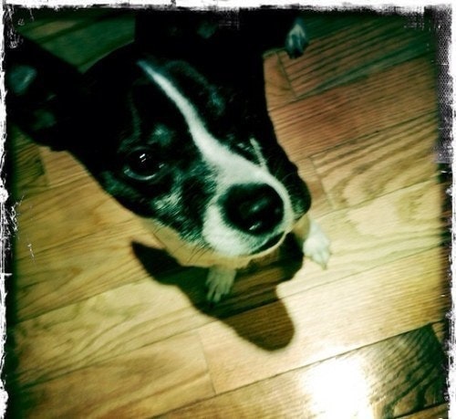 Christopher Franklin