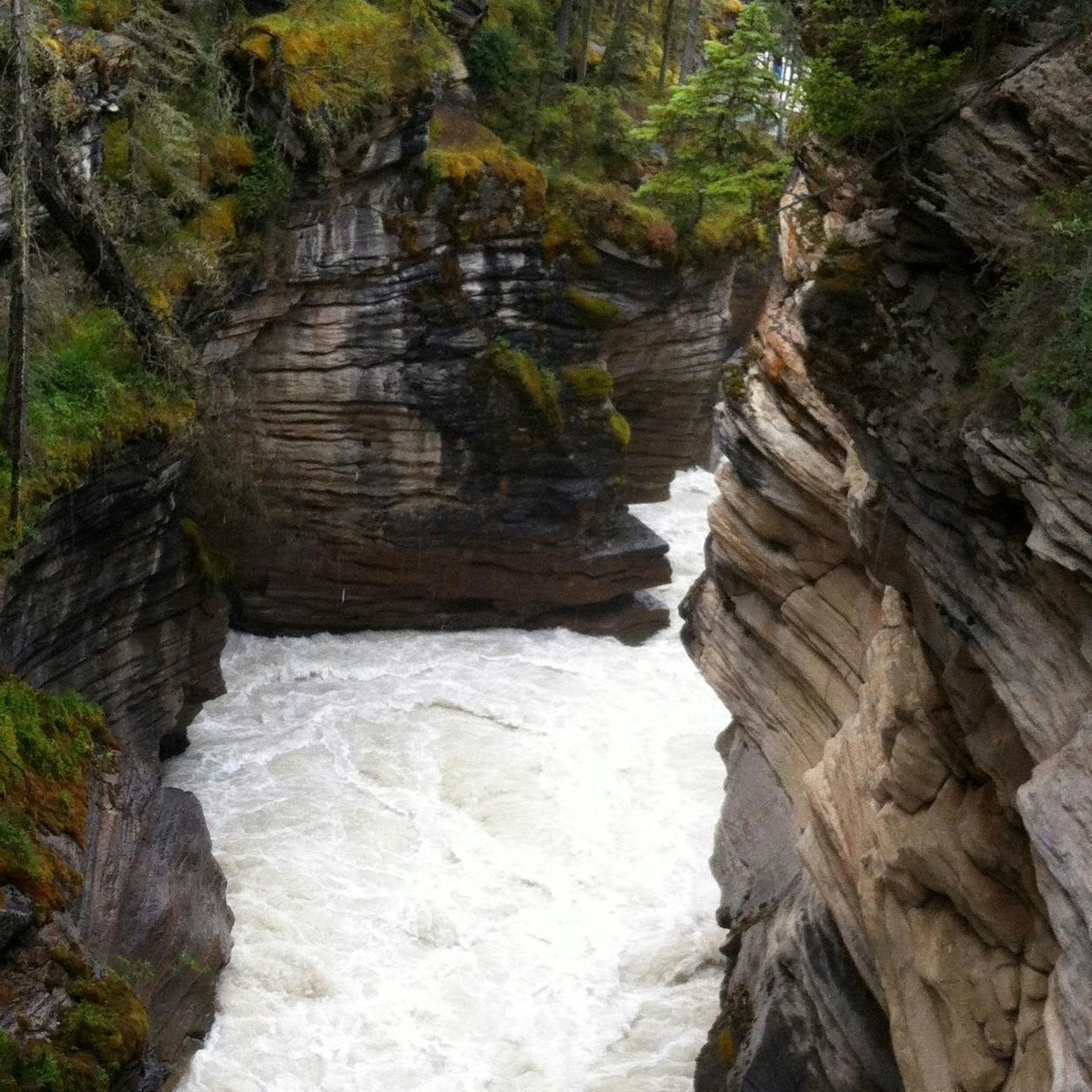 North Creek Software