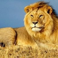 Сергей Узляков