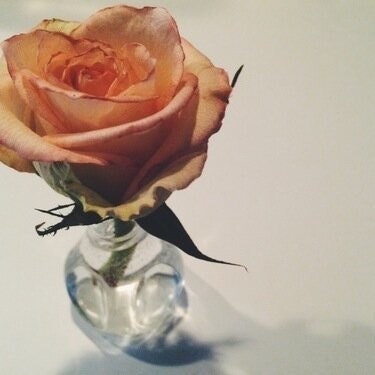 مُتَنَفِّس