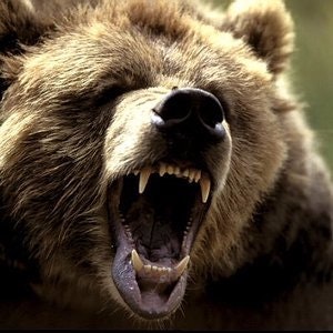 Анатолий Солошенко