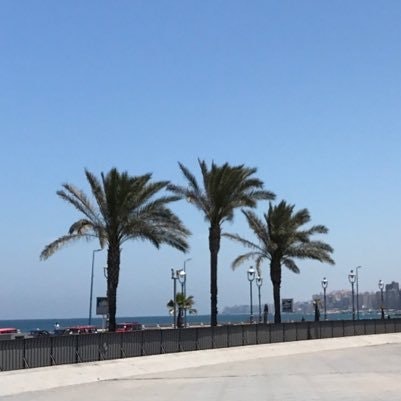 Hᴀᴢ Pʜᴇᴀʀ 🌴🛩