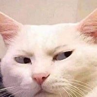 Nguyễn Đăng Dương