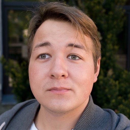 сонный тюлень