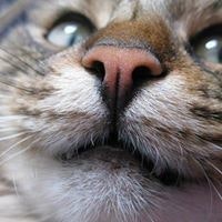 Дмитрий Завьялов