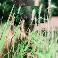 Jay Ryan Josol Bulahan