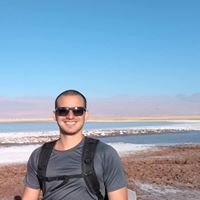 Henrique Marques Fernandes