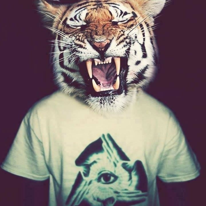 Bizim Köyün Popisi