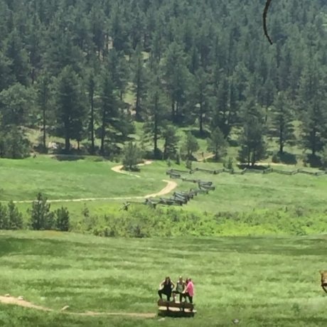 mandy morgan, phd 💙