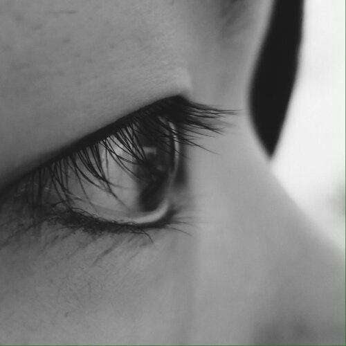 uǝǝnbɔɯ ɐɯɐɹp