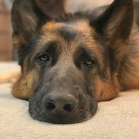 Лілія Бедрій-Ферцак