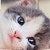 ProductHunt profile picture for @emily8