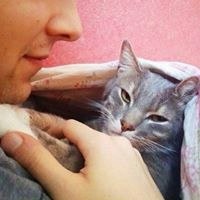 Александр Старцев