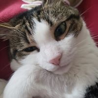 Annetta Mae Villaflores