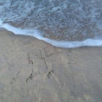 അനസ് നൂറു