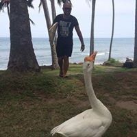 Артур Тишкевич