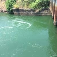 เจษฎา คูณสามัญ