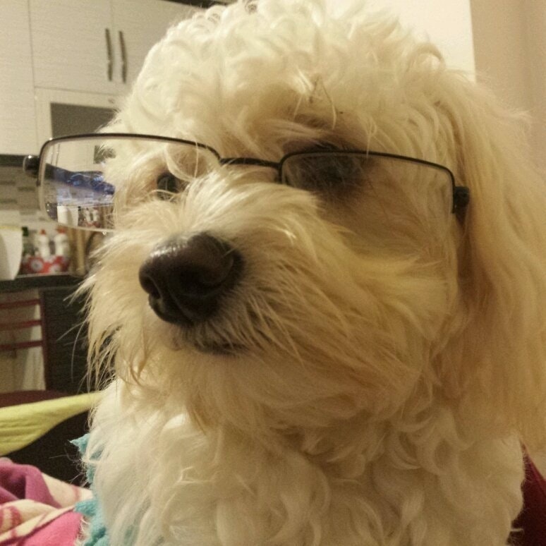 Orhun Hakan Yalincak