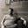 Scott Williams