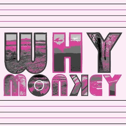 Why Monkey
