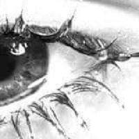 তানজীম ইসলাম