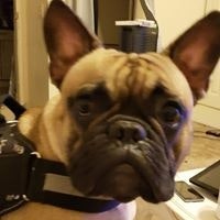 Jeanette Taft Upright