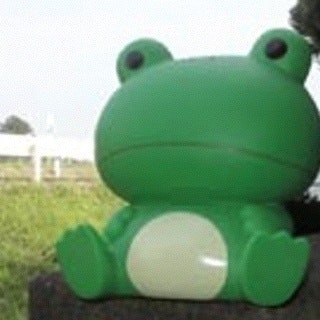 めがねはうさー