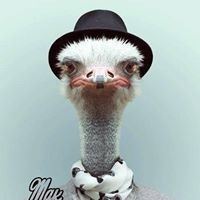 Женя Иванов