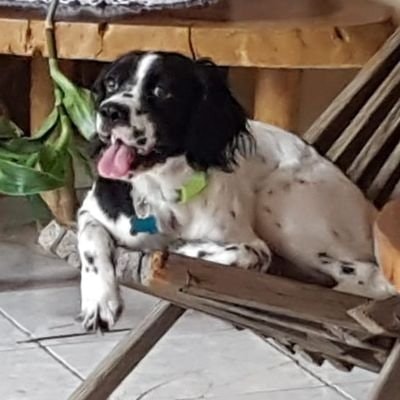 Alberto Montoya | 12 Years with #SNSD