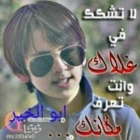 محمود ابو الخير