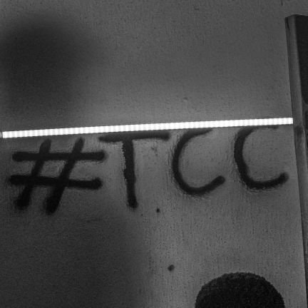 THE CRITICS WHO RULE