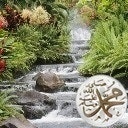 عماد الحمدان