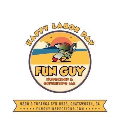 FunGuyInspection