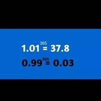 Светлана Сорокина