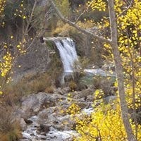 Celia Rodríguez Izquierdo