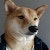ProductHunt profile picture for @yasmim