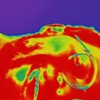 Thierry Errol Akiapo