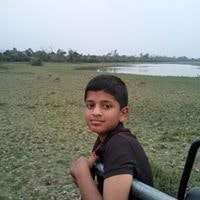 Gourav Krishna