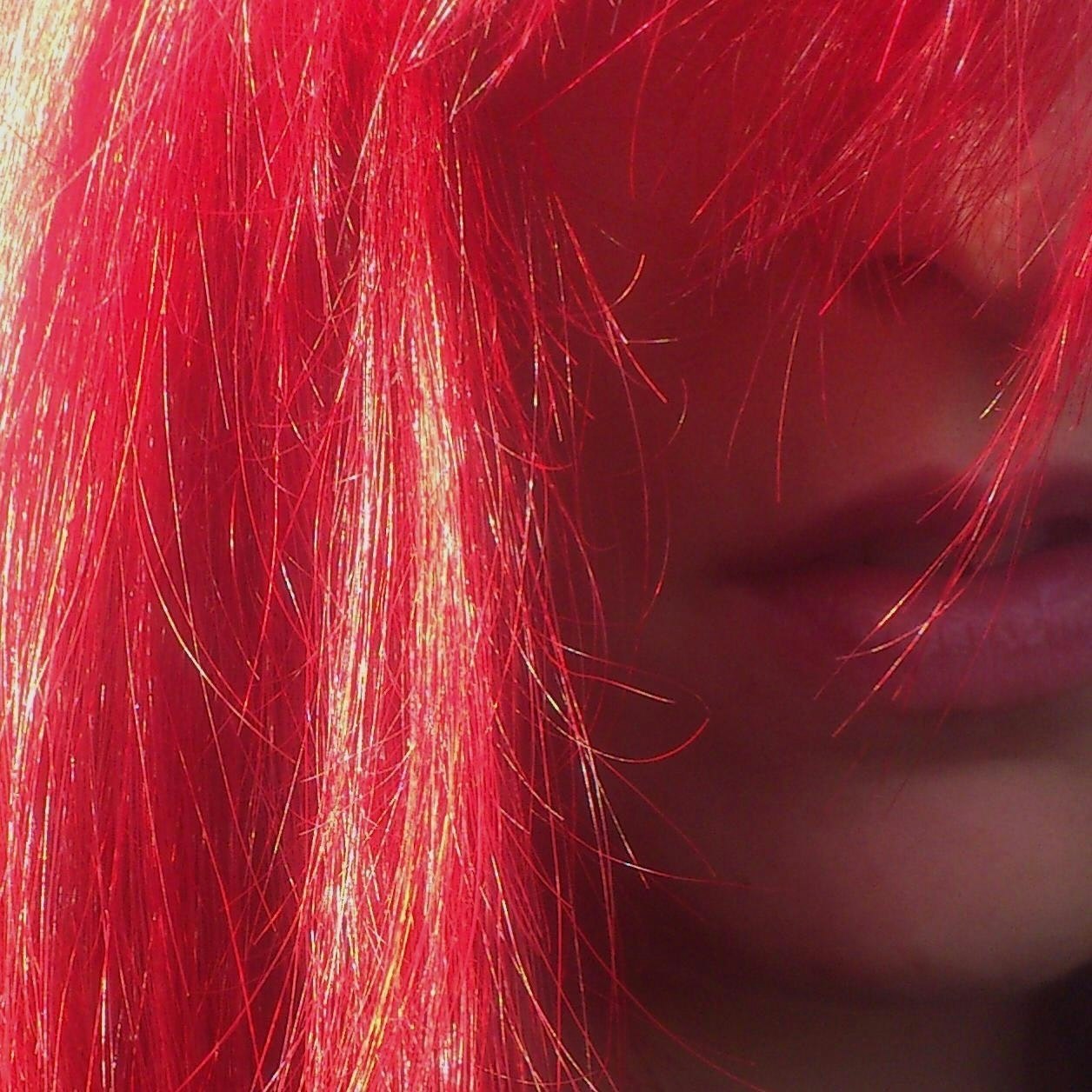 Gata de Schrödinger