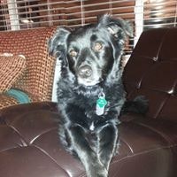 Hillary Lynne Glaser