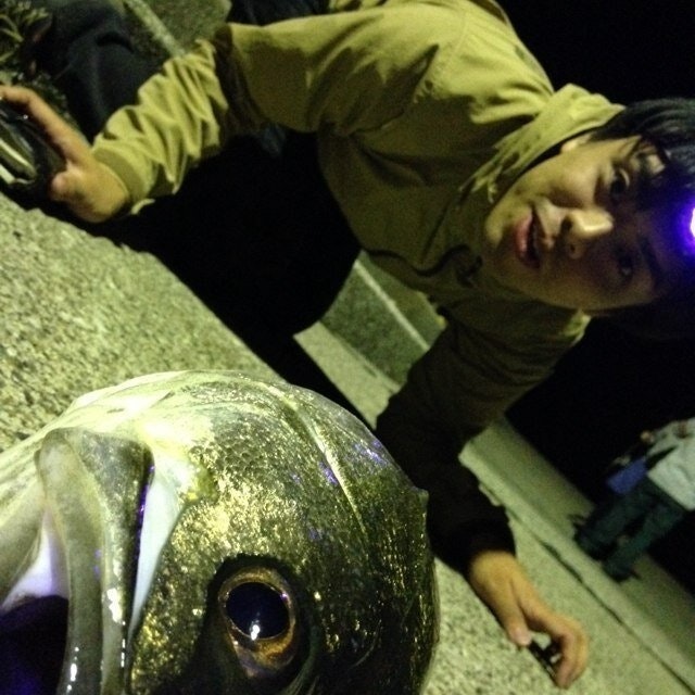 いいえ、あれはまゆげです