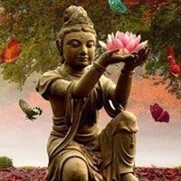 Susanna Shanti G Kotlyar