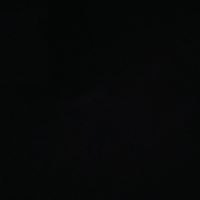 Michael Anthony Higginbotham