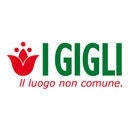 I GIGLI 