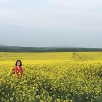 Kübra Karafazlıoğlu