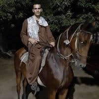 احمد قدري علام