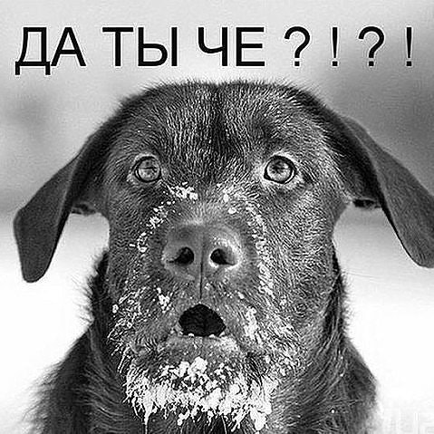 Александр Дмитриевич