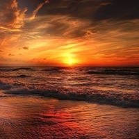 Alexis Jesus Arias Herman