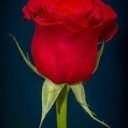 Isah-Habeeb Ramotu Omone