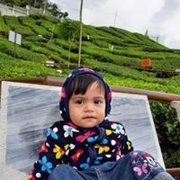 Wan Hidayah Wan Malik